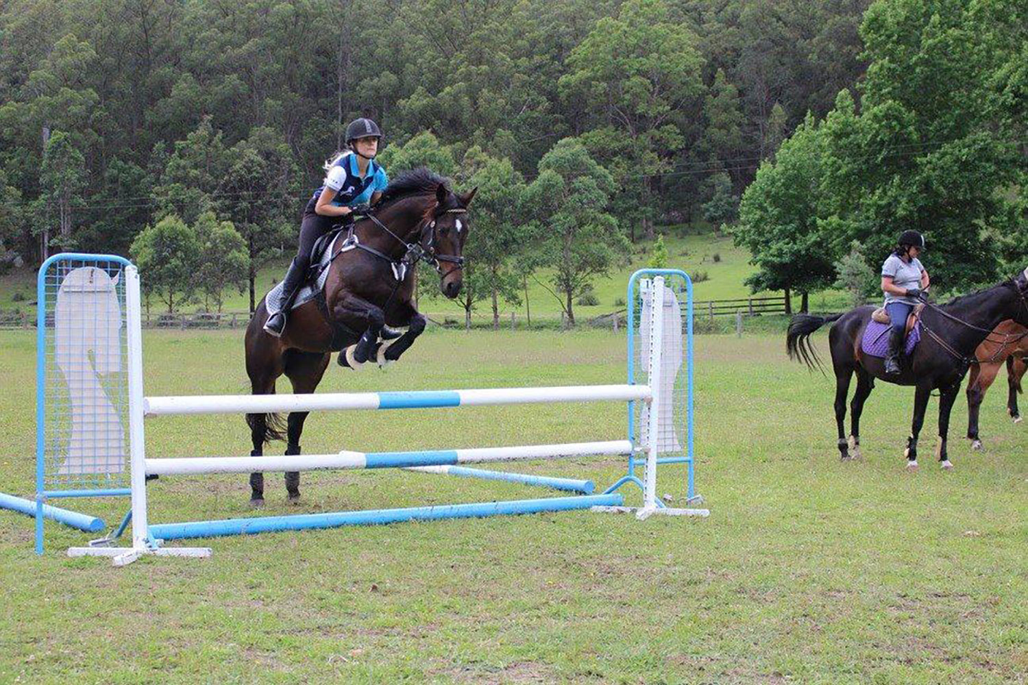 fernances-creek-equestrian-facilities Equestrian Facilities, Fernances Creek, Hunter Valley