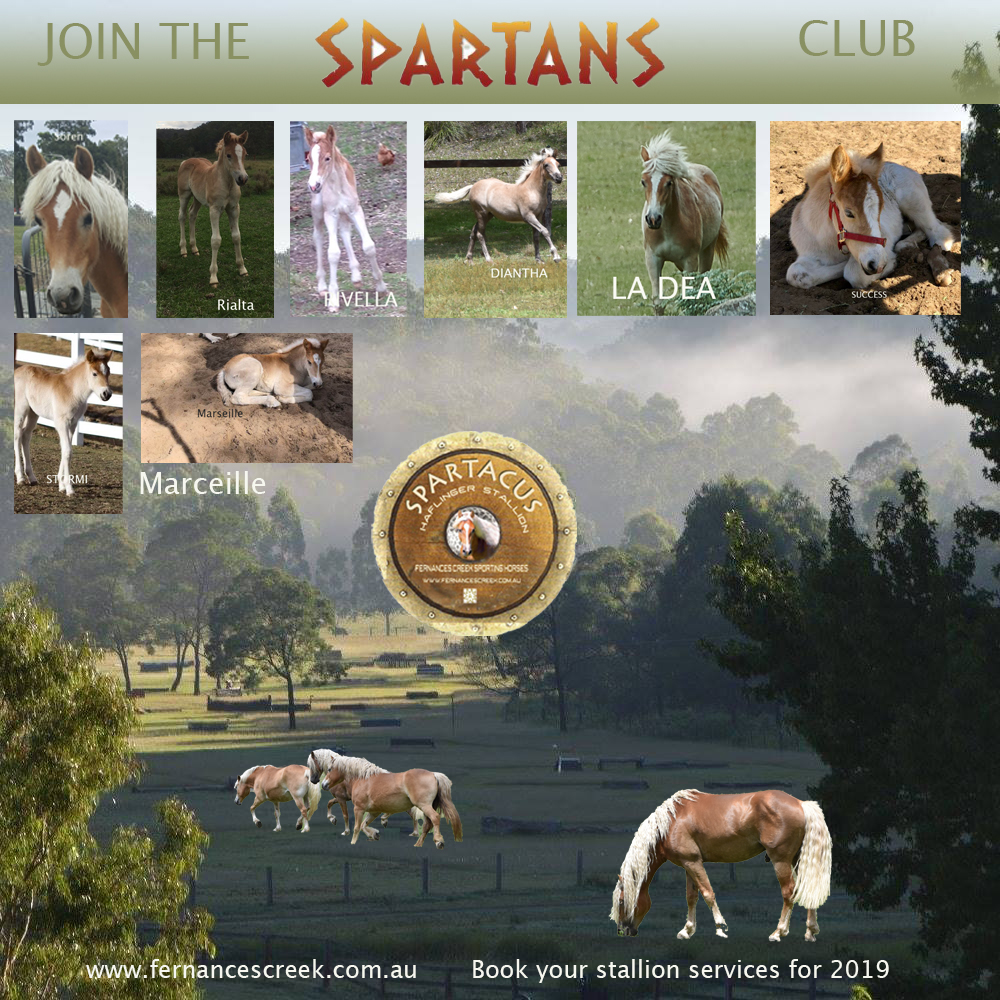 spartanposter